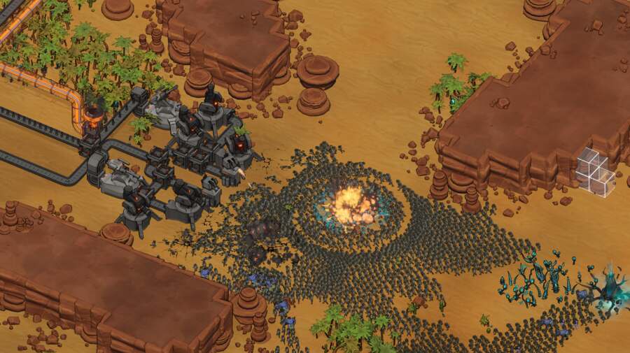 Holding the line | Sandy Desert